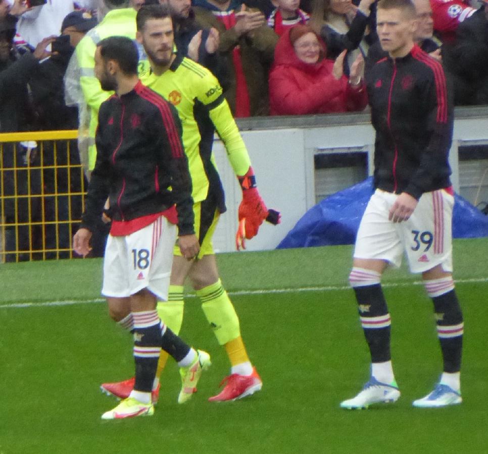 布鲁诺费尔南德斯激情与驱动力心理深度解读